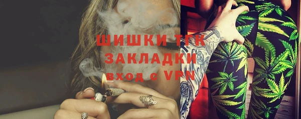 гидра Аркадак
