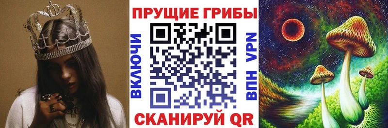 блэк спрут рабочий сайт  как найти наркотики  Тюкалинск  Галлюциногенные грибы GOLDEN TEACHER 